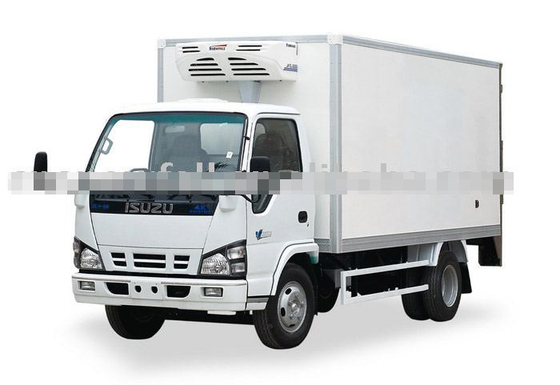 Production Formed at High Pressure by Cacuum Technonigy of Ge Snowfall FRP Truck Body