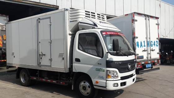 Production Formed at High Pressure by Cacuum Technonigy of Ge Snowfall FRP Truck Body