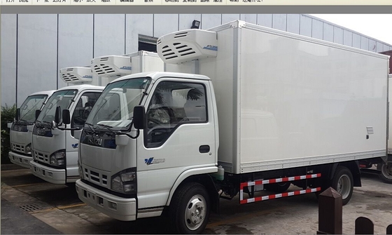 Production Formed at High Pressure by Cacuum Technonigy of Ge Snowfall FRP Truck Body