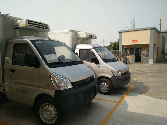 Small Refrigerated Truck Box Van Insulated Truck Body White Or Custom Colour