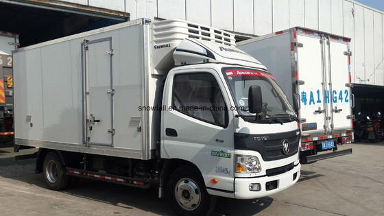 Customized White Food Refrigerator Body for Van/Truck White Colour Customization