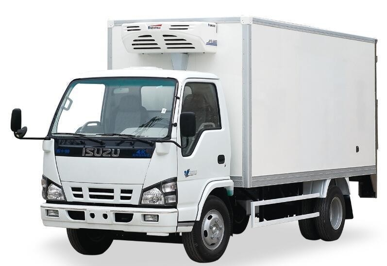 11ft To 32ft Size Insulated Refrigerated Truck Body Van Box Fire Retardant White Colour